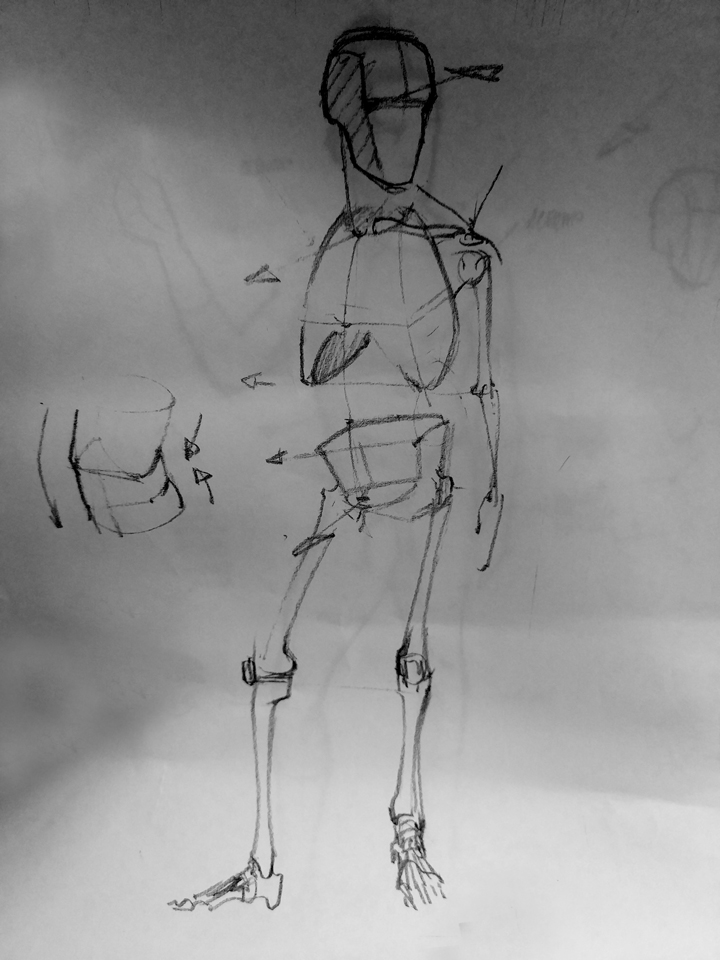 Demostración de encaje y proporciones en la figura humana