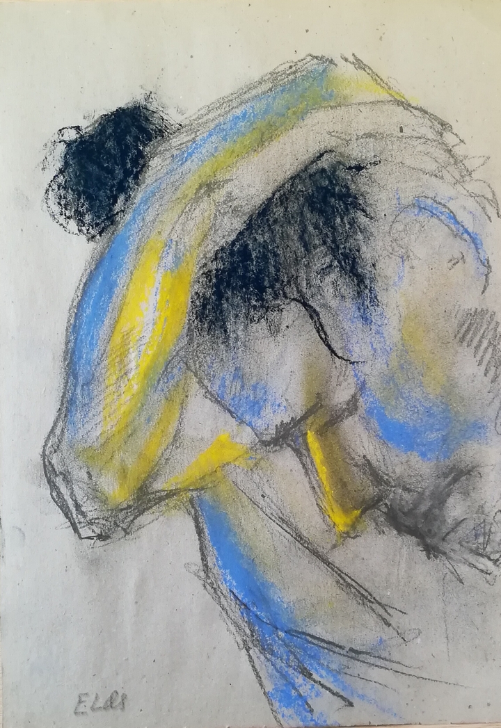 Anatomía en Pastel de Eugenio López de Quintana