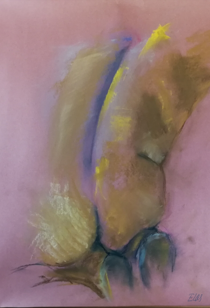 Anatomía en Pastel de Eugenio López de Quintana